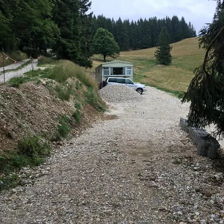 Blick